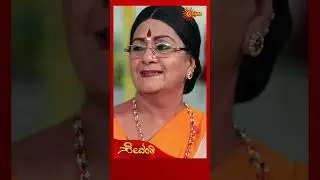 Sevanthi | #shorts | Udaya TV | Kannada Serial