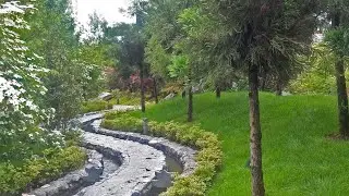 Прогулка По Японскому Саду Под Музыку Шуберта