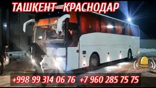 Краснодар Ташкент автобус,Ташкент Ростов автобус 