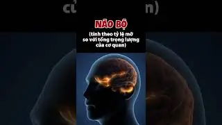 90% mọi người nhầm lẫn bộ phận này #drvitamin #beophi #learnontiktok #suthatla