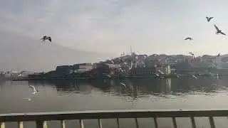 Feshane-Alibeyköy Otogar | T5 Tramvay Hattı  Haliç Manzarası | Amateur Stock Shooting
