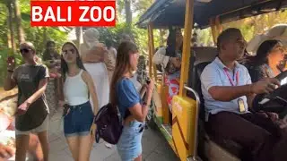 BALI ZOO‼️TEMPAT WISATA DI BALI YG KIDS FRIENDLY⁉️#balizoo #bali