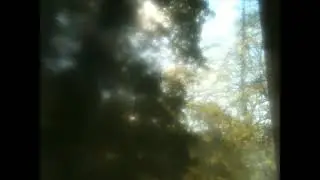 orbit - DarkTimes / BlueFlower (Dream diary)