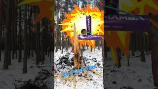 Лютая Петарда Мамба уложила дерево