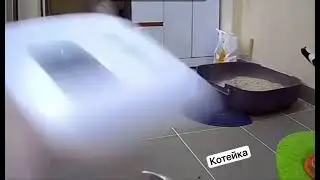 Местный суетолог 😁