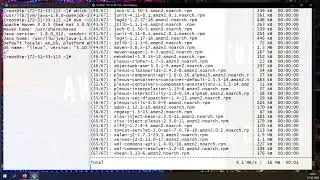 7.  Linux Slave