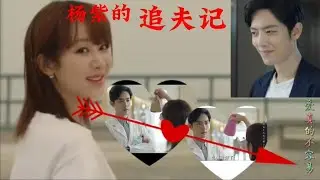 杨紫的追夫记，看肖战是如何被拿下……