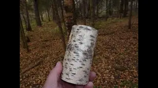 Берестяной туесок,простой способ сделать.
