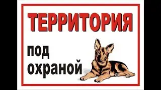 охрана территории . щенок  немецкой овчарки Ким.