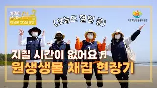지칠 시간이 없!어!요♬ 원생생물 채집 현장기 [생명이 숨쉬는 섬] 미생물 원생생물편🧑‍🔬