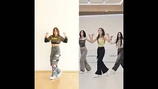 X:IN 엑신 'MY IDOL' Dance Cover✨[SKZ part] 