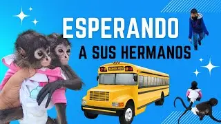 Julia y Teresa esperan a sus hermanos de la escuela