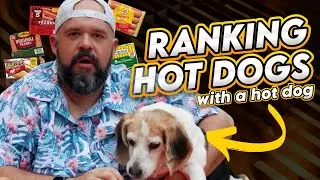 Ranking Hot Dogs (with a hot dog)