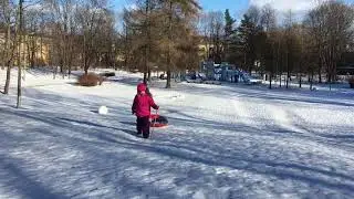 Ленинские горки