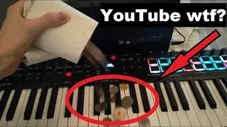 YouTube is dumb if they recommend this.