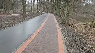 г.Черняховск, река Анграпа (лебеди)