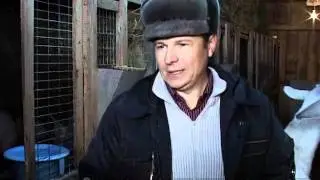 Зоопарк в деревне