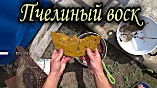 Пчелиный воск