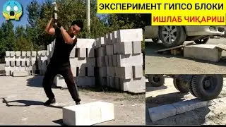 МАНА ХАҚИҚИЙ ГИБСАБЛОК БУНАҚАСИ БЎЛМАГАН ЭКСПЕРИМЕНТ ГИПСАБЛОК