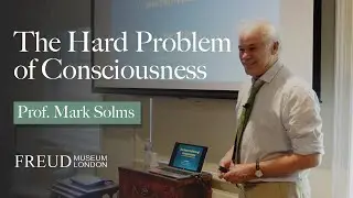 ‘The hard problem of consciousness’: A lecture by Professor Mark Solms at the Freud Museum London