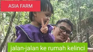 ASIA FARM || taman kelinci