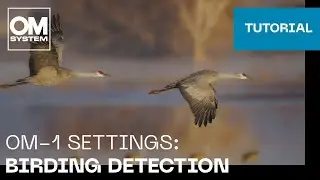 OM-1 & OM-1 Mark II Settings: Birding detection