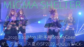 20200810 MIGMA SHELTER 新木場Coast ギュウ農フェス 夏のSP 2020