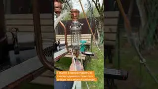 Игра угадай-ка)