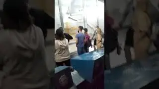 обсерватория в архызе