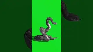 snake green screen video   | #shorts | #techgajraula | #green screen