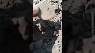 медаль за доблестный труд 1941-1945 #деревня #курск #коп#вов #клад #коп #nature