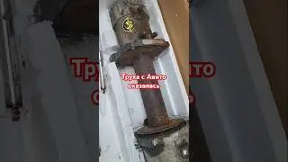 Трухлявая 