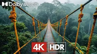 Majestic HDR 4K 60 FPS - Dolby Vision (4K Video)
