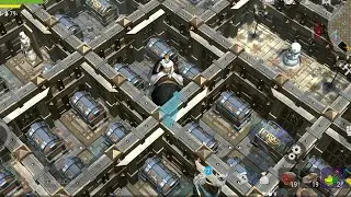 Frostborn- past raid used duelist/ prot 🙂