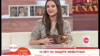 Программа «Добрай ранiцы, Беларусь!». БТ, эфир от 19.12.2016.