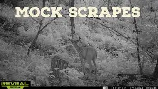 REVEALING The Secrets To The Perfect Mock Scrape!