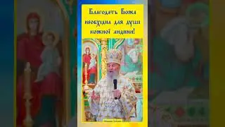 ☦️ Коли благодать Божа наповнює людину, вона стає спокійною - такою, якою Господь її задумав.