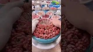 Милые райские суккуленты