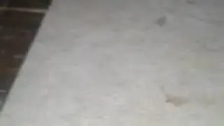 Untitled video