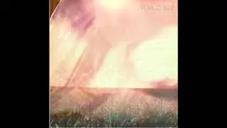 Slow Disco - Neglecting to Water a Heart