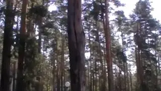 Круг друзей МИРОТВОРЕЦ