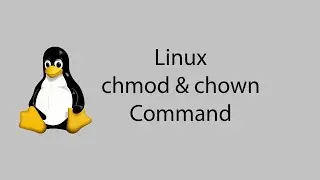 Learn Linux #16 - chmod and chown Command
