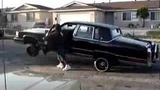 Hittin the bumper