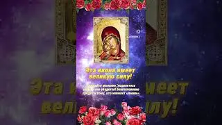 7 сентября 2024 г.