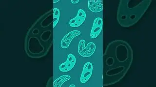 Journey to the Microcosmos (Animated!)