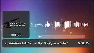 Crowded Beach Ambience | HQ Sound Effect