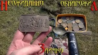 Поиск монет.  Неожиданно обнаруженная заимка