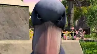 An Average Conversation With a Bird