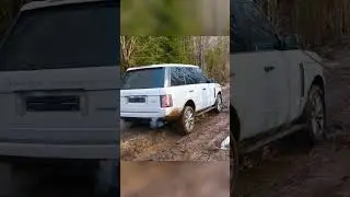 Рендж ровер едет в лес 