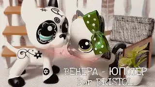LPS: Music Video|| Венера - Юпитер|| For BRISTOL||
